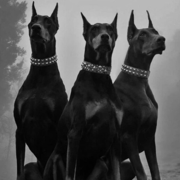 Kimposhible’s Pop Up  Show - Picture 6 of 7